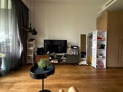 OUE Twin Peaks (D9), Condominium #496423811